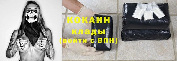 кокс Арсеньев