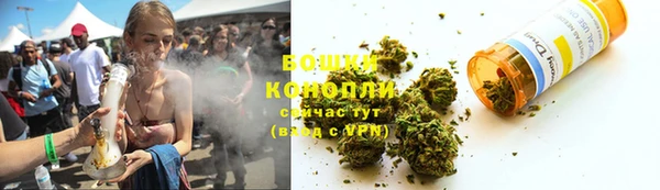прущие грибы Балахна