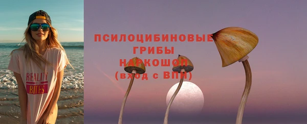 гашик Баксан