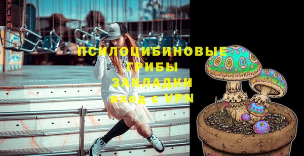 ГАЛЛЮЦИНОГЕННЫЕ ГРИБЫ Армянск