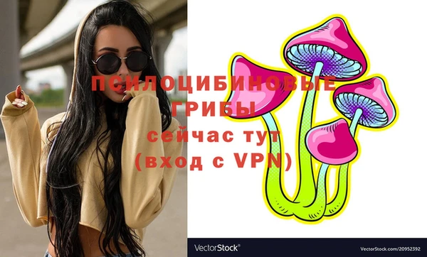 кокс Арсеньев