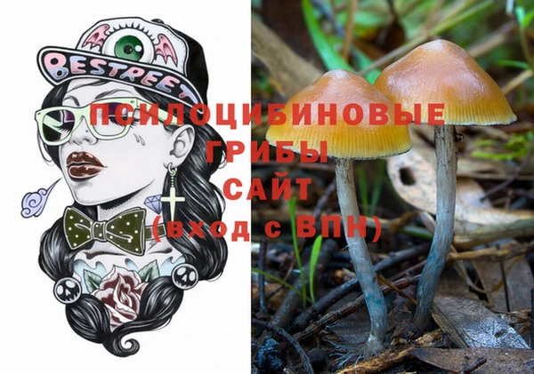 прущие грибы Балахна