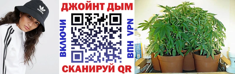 магазин    Шумиха  МАРИХУАНА гибрид 